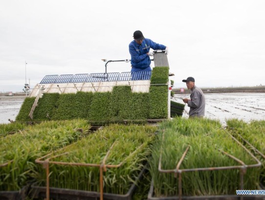  "Unlock Your Agricultural Dreams: How to Secure Loans to Start a Farm and Thrive in the Farming Industry"